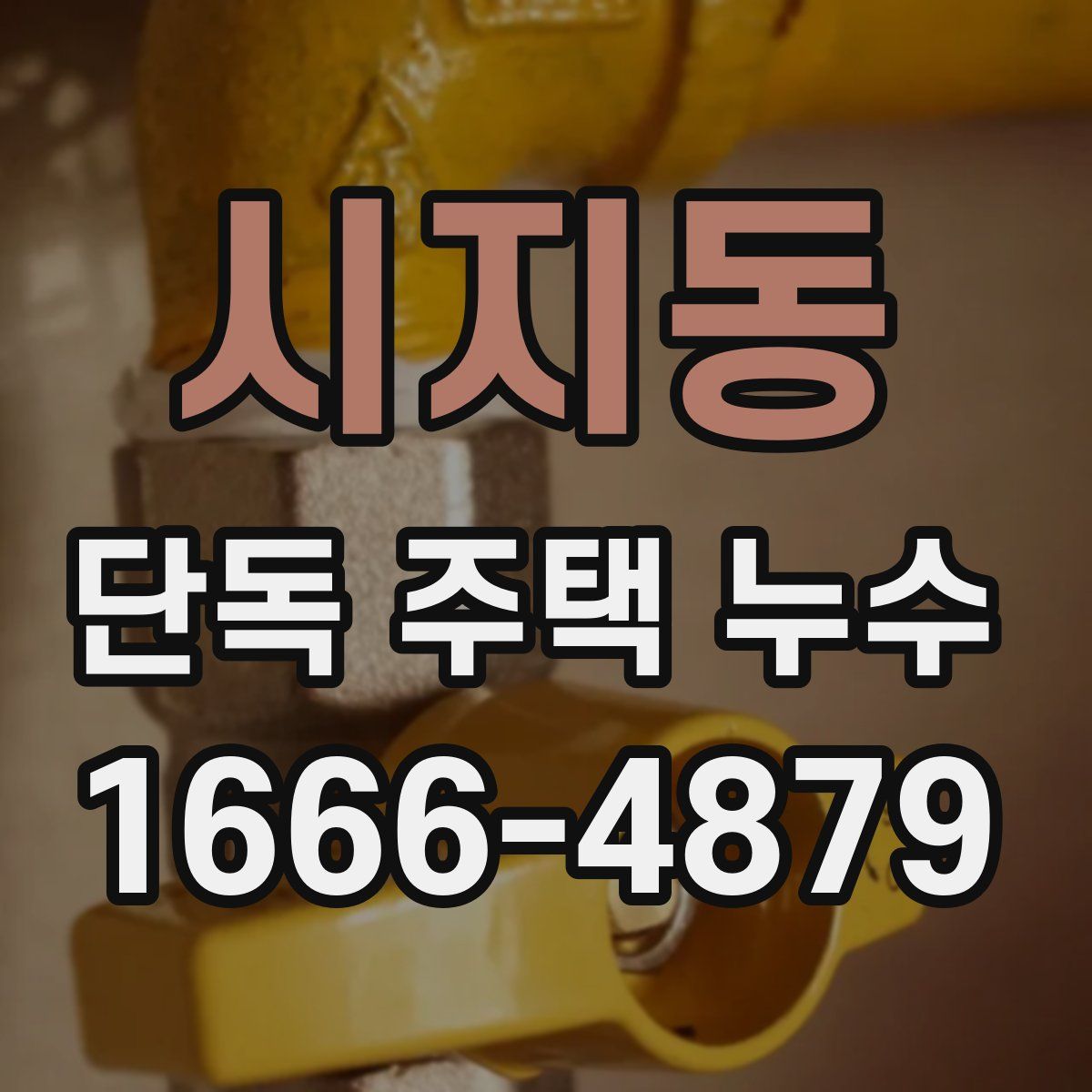 시지동 단독 주택 누수