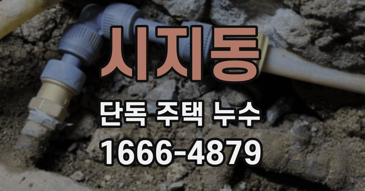 시지동 단독 주택 누수