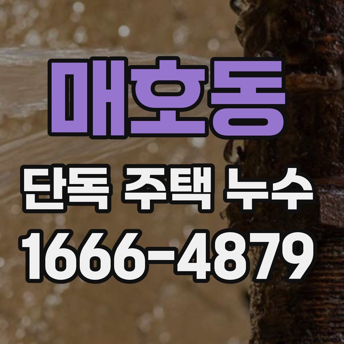 매호동 단독 주택 누수 확인은 어디서부터 시작할까