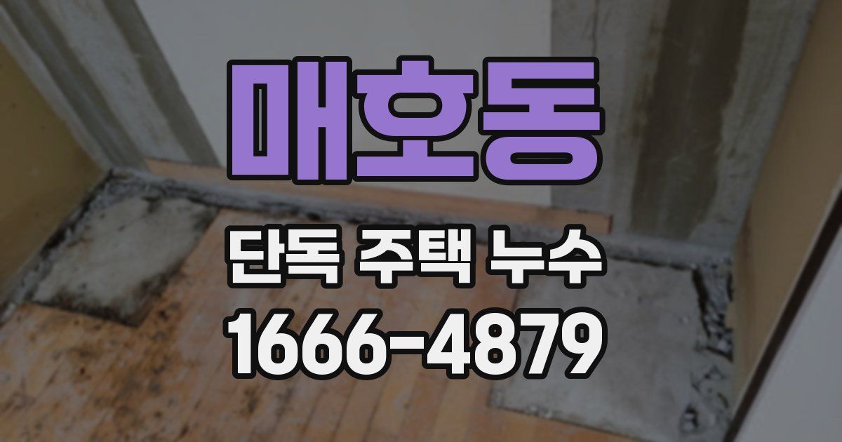 매호동 단독 주택 누수