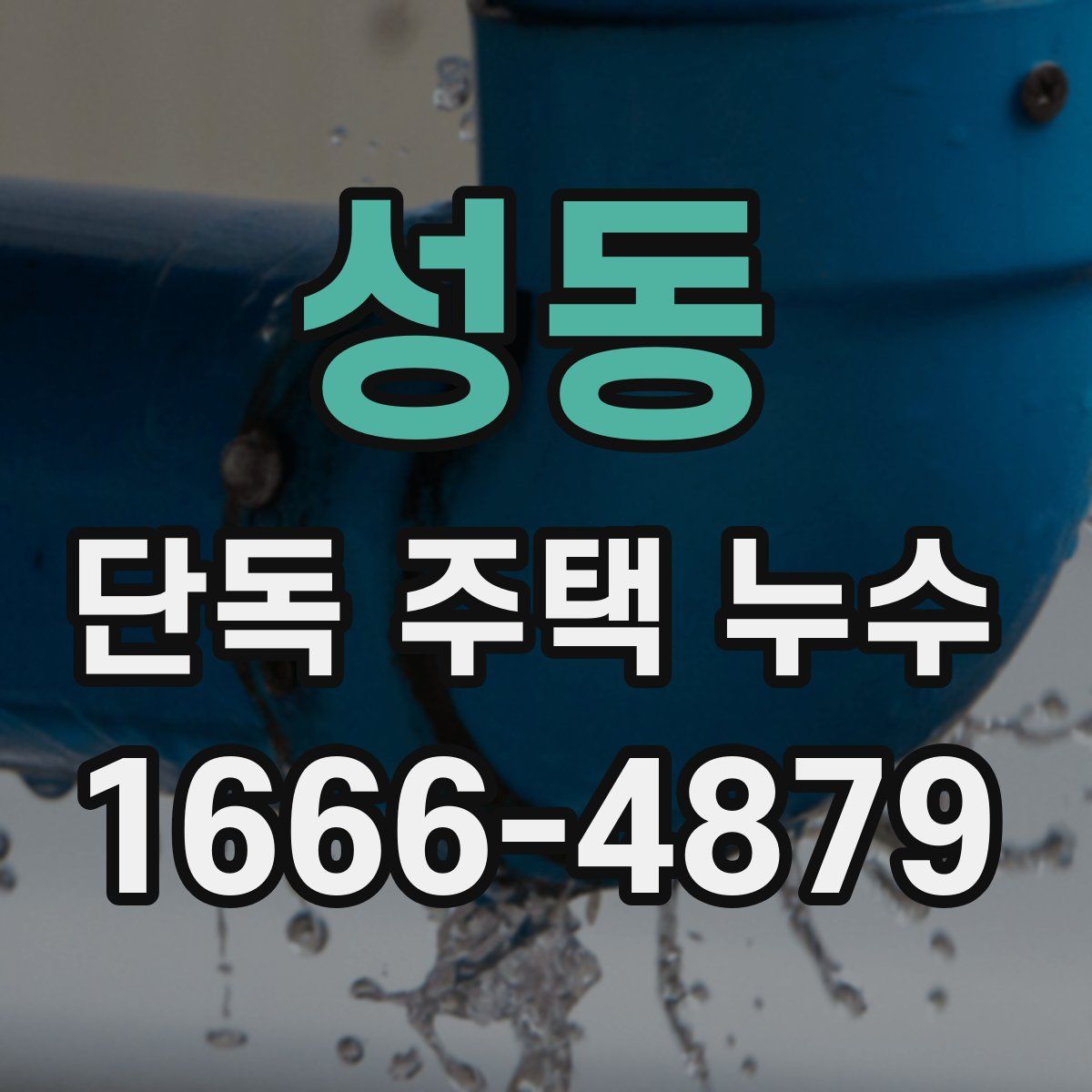성동 단독 주택 누수