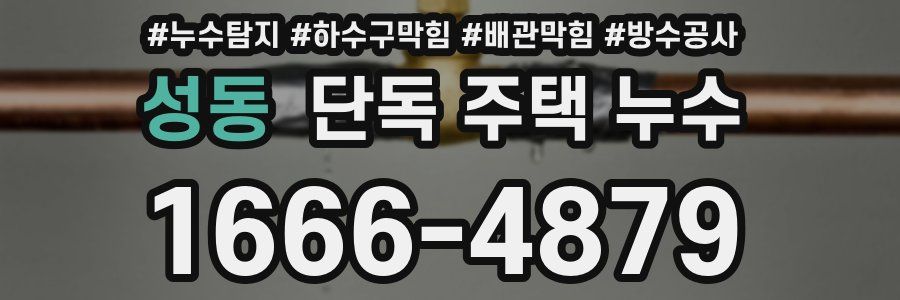 성동 단독 주택 누수