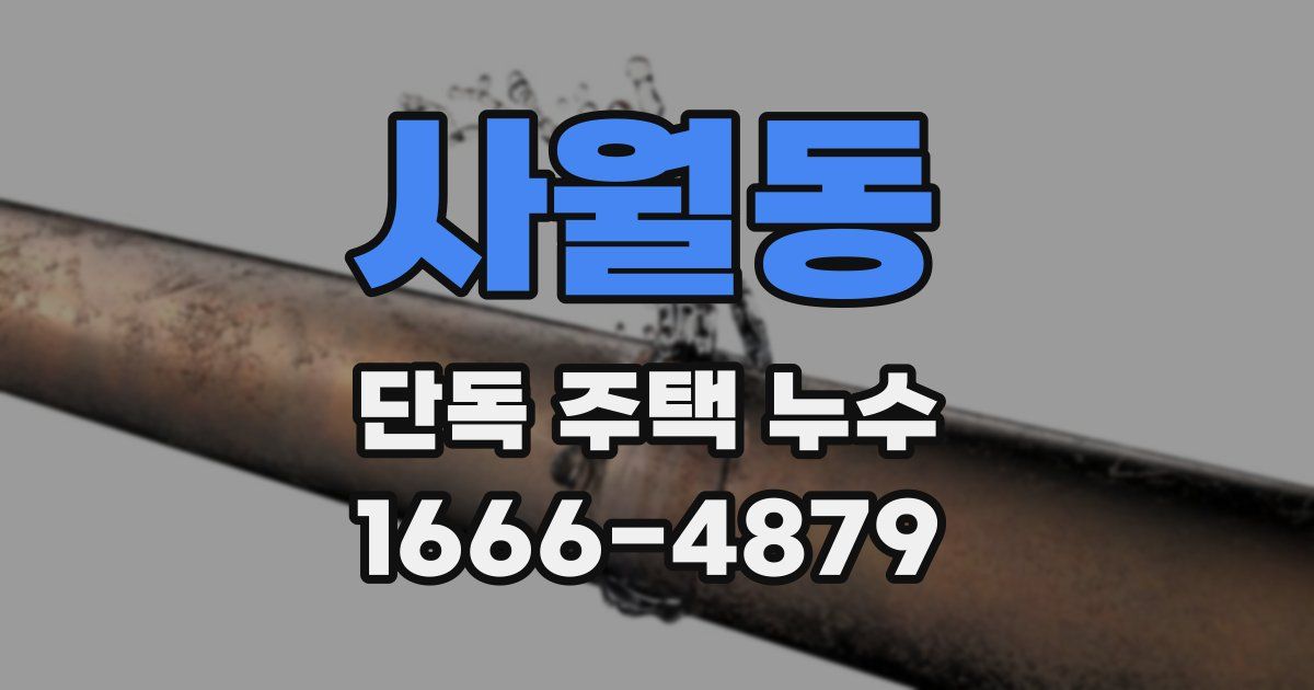 사월동 단독 주택 누수
