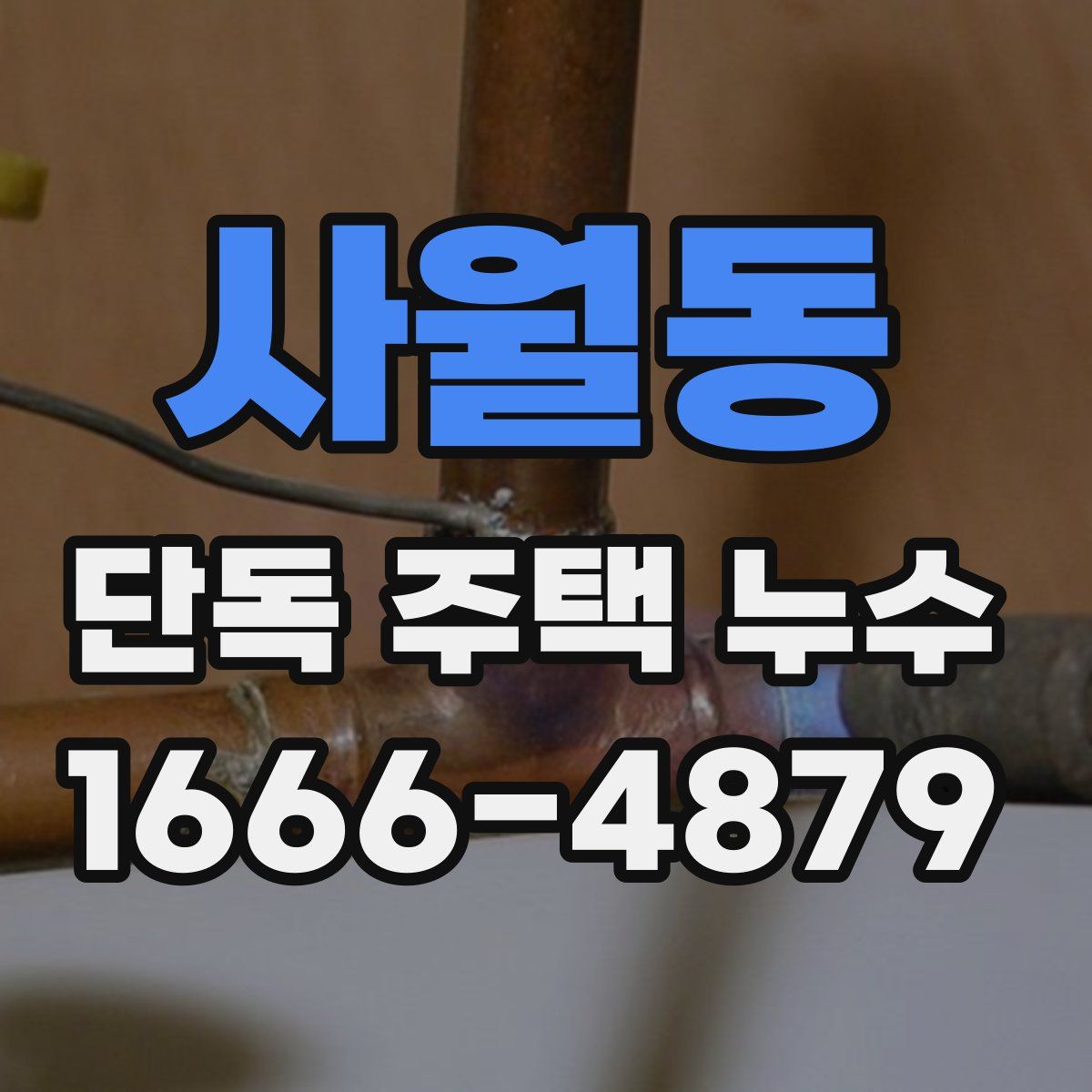 사월동 단독 주택 누수