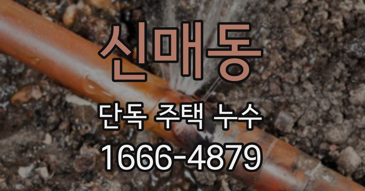 신매동 단독 주택 누수