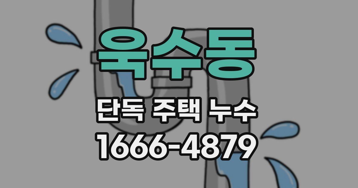 욱수동 단독 주택 누수