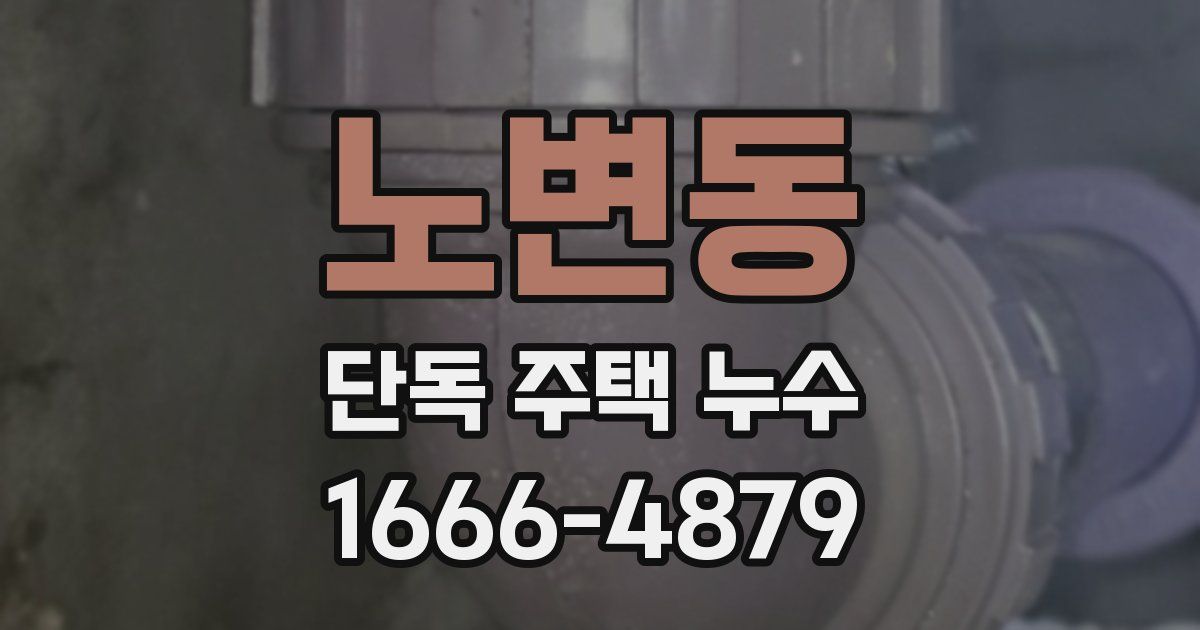 노변동 단독 주택 누수