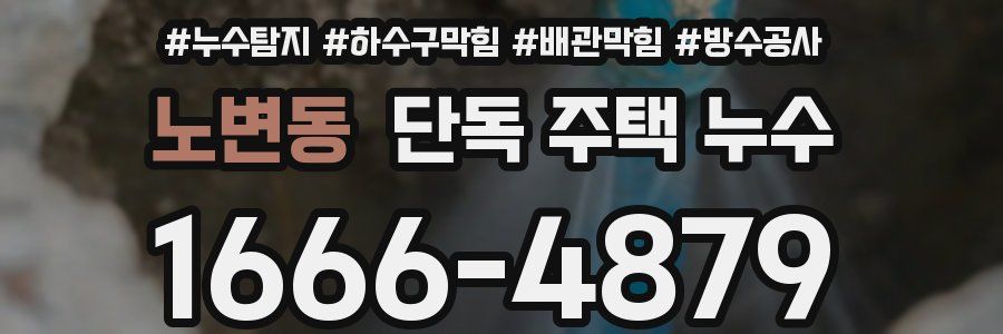 노변동 단독 주택 누수
