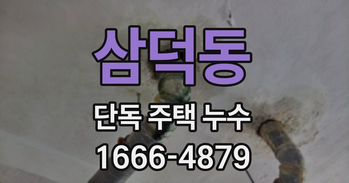 삼덕동 단독 주택 누수