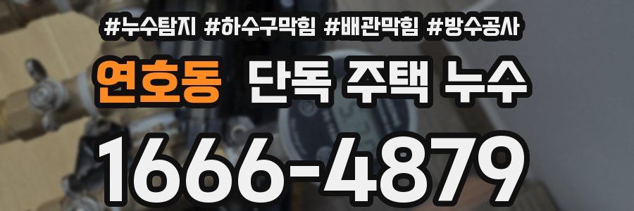 연호동 단독 주택 누수