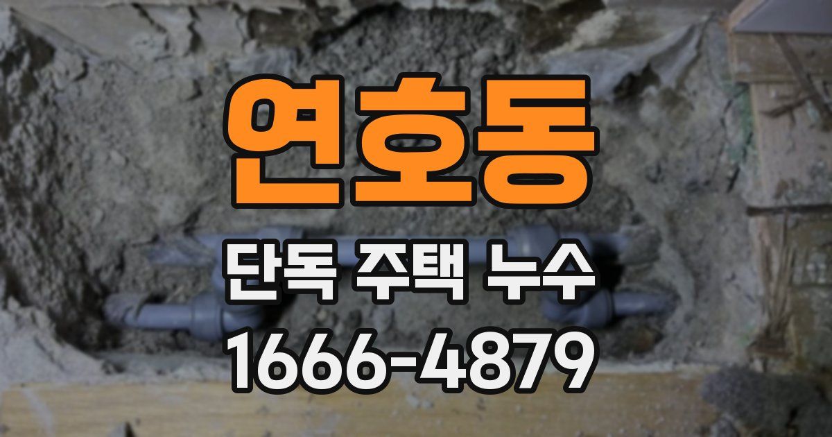 연호동 단독 주택 누수