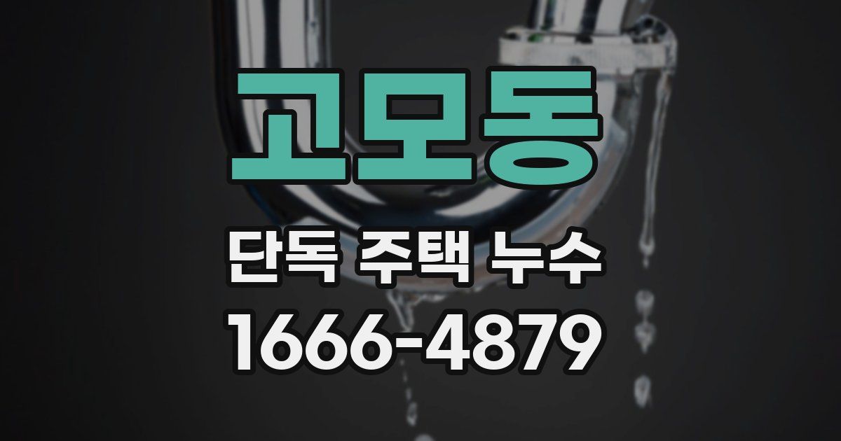 고모동 단독 주택 누수