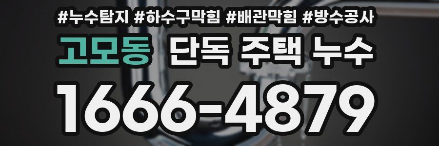 고모동 단독 주택 누수
