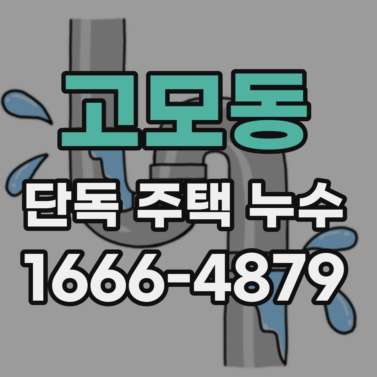 고모동 단독 주택 누수