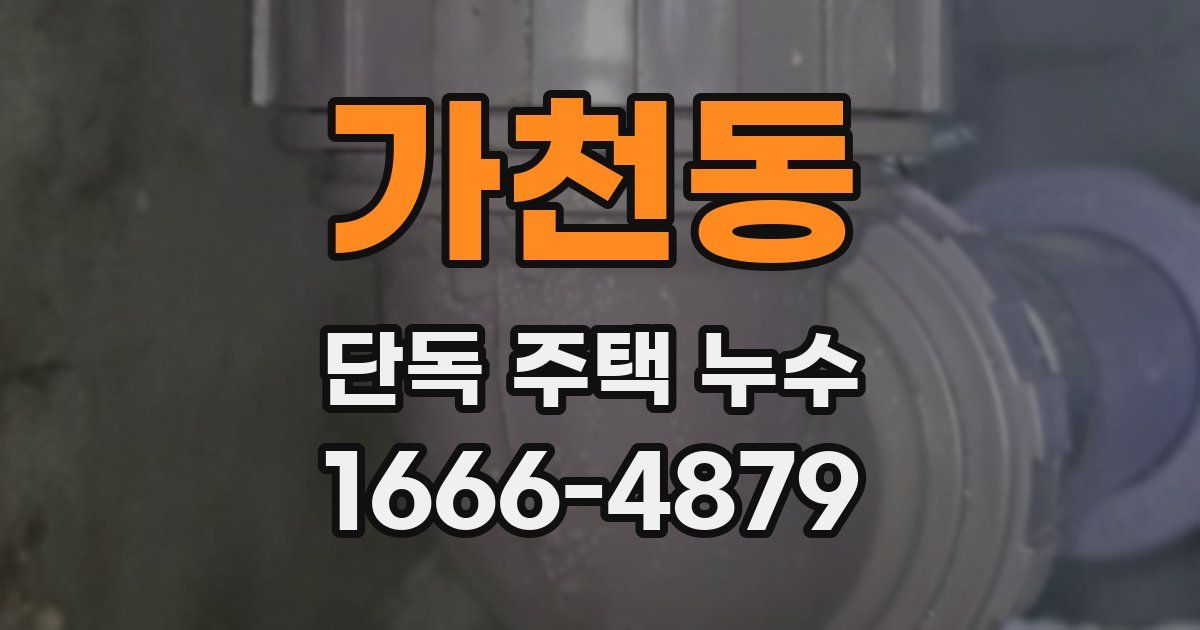가천동 단독 주택 누수