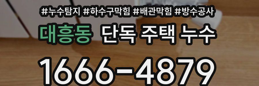 대흥동 단독 주택 누수
