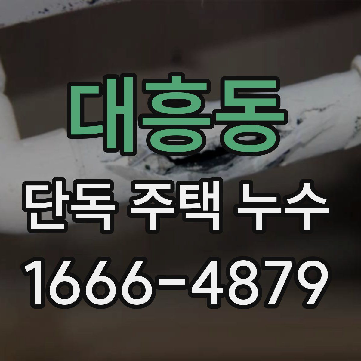 대흥동 단독 주택 누수