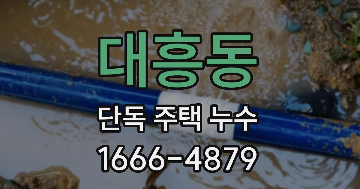 대흥동 단독 주택 누수