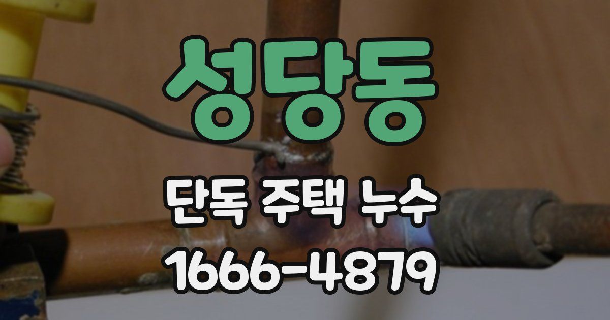 성당동 단독 주택 누수