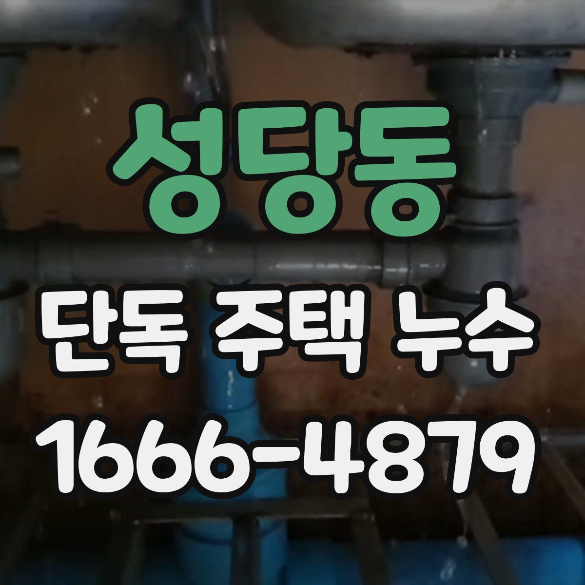 성당동 단독 주택 누수