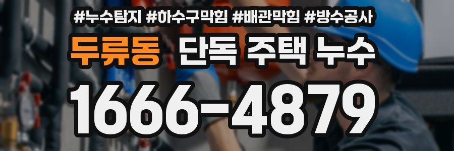 두류동 단독 주택 누수