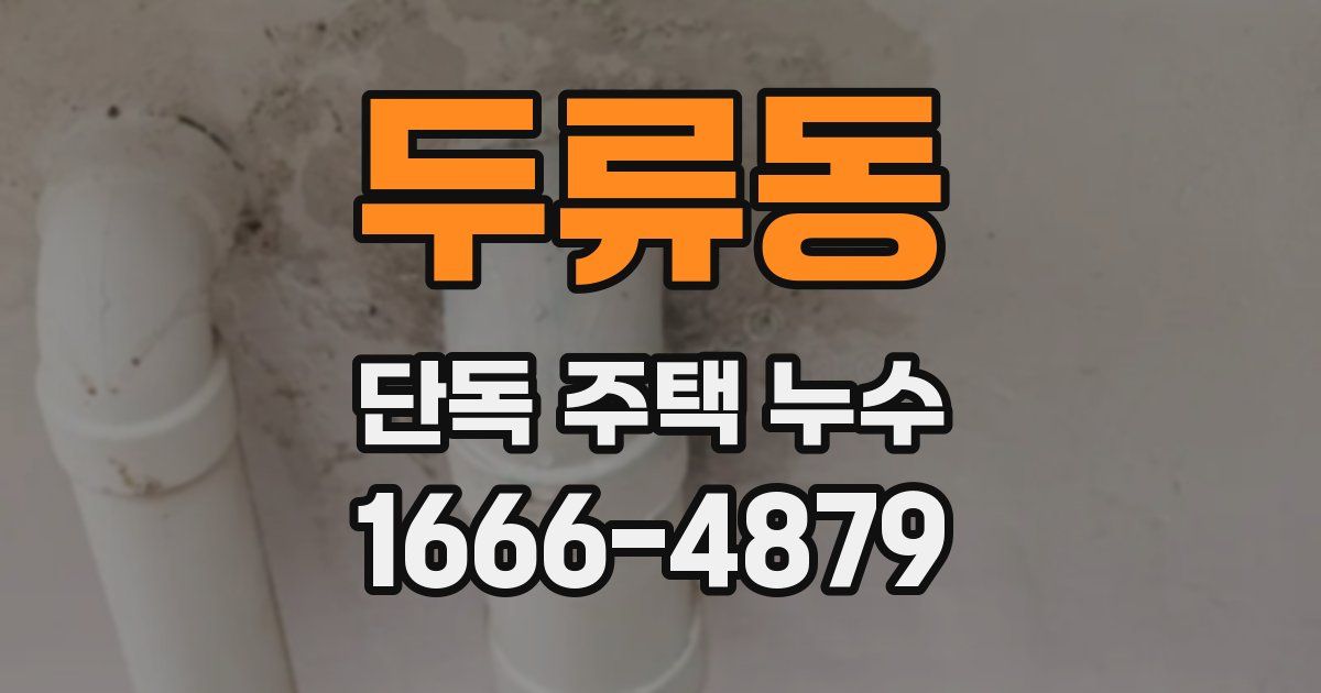 두류동 단독 주택 누수