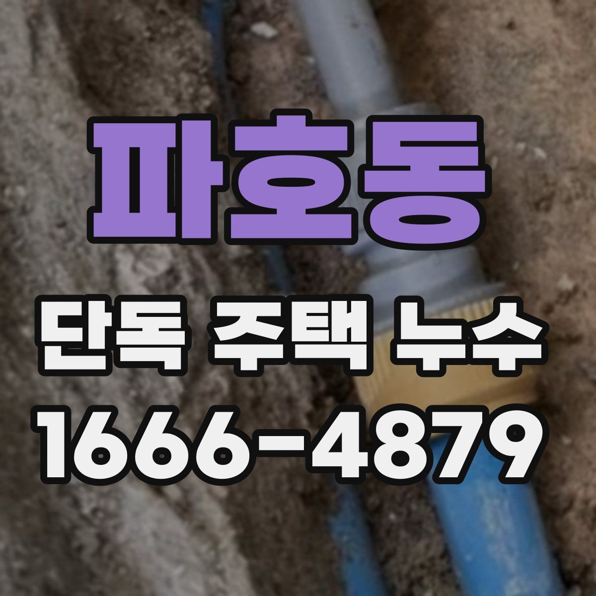 파호동 단독 주택 누수