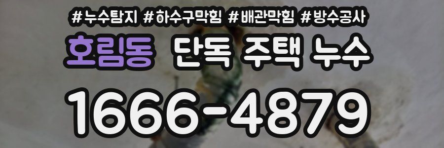 호림동 단독 주택 누수