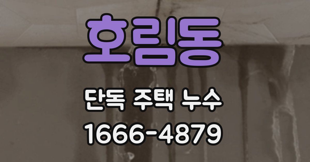 호림동 단독 주택 누수