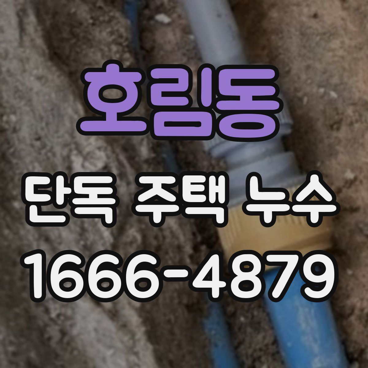 호림동 단독 주택 누수