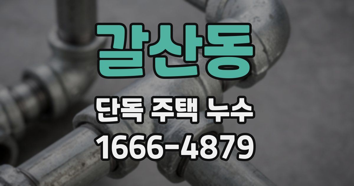 갈산동 단독 주택 누수