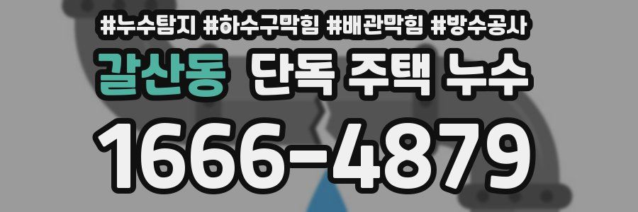 갈산동 단독 주택 누수