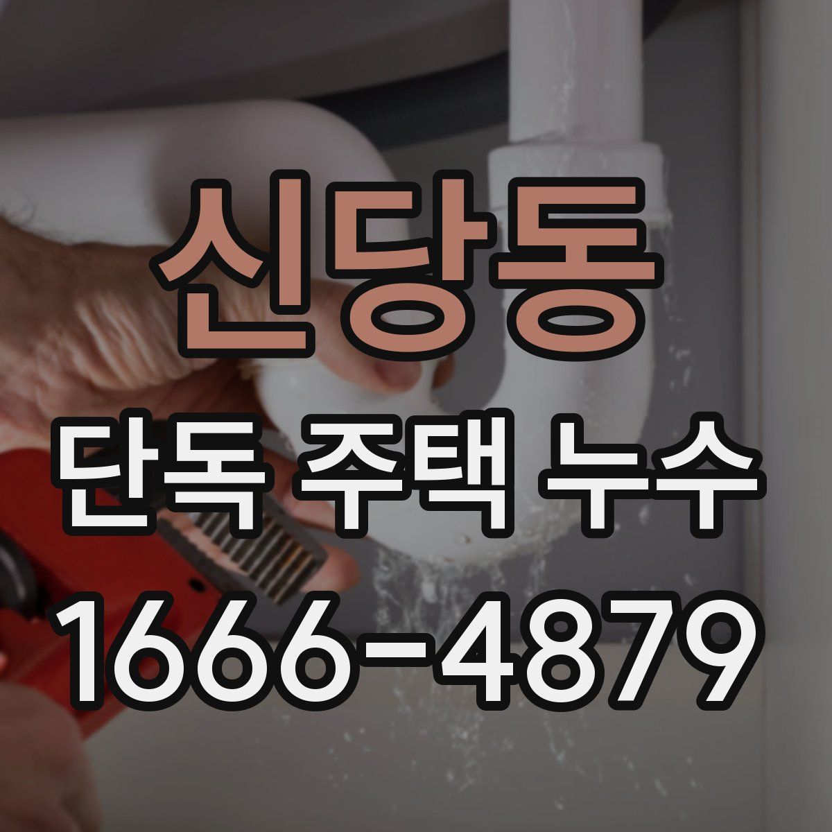신당동 단독 주택 누수