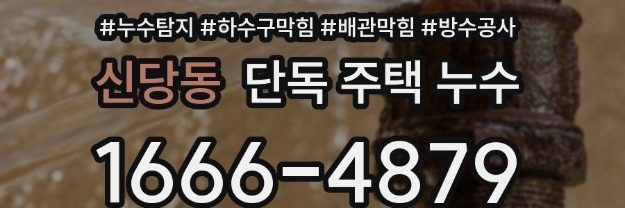 신당동 단독 주택 누수