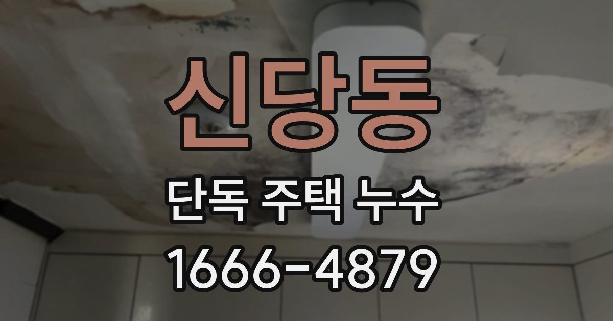 신당동 단독 주택 누수