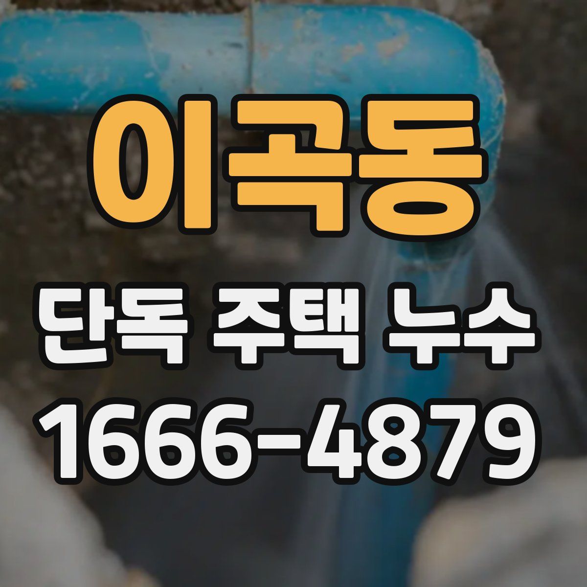 이곡동 단독 주택 누수