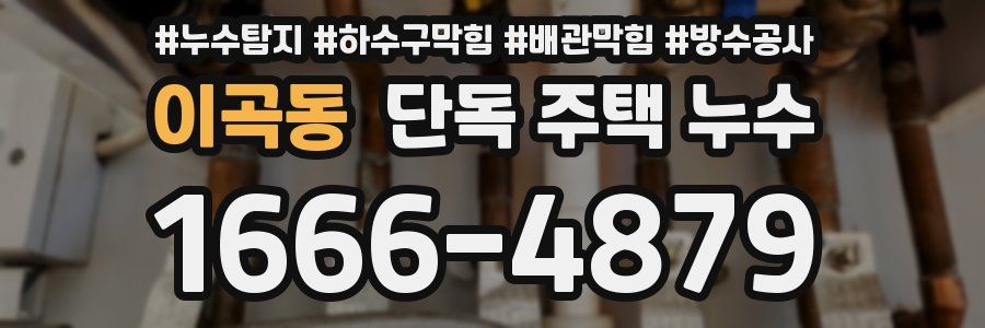 이곡동 단독 주택 누수