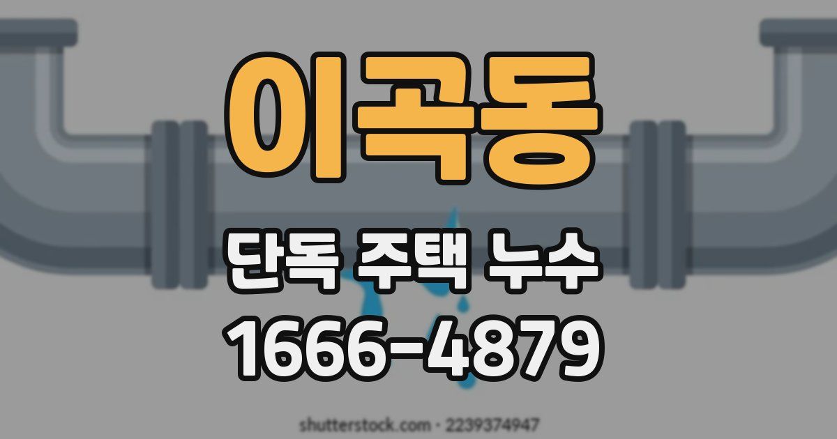 이곡동 단독 주택 누수