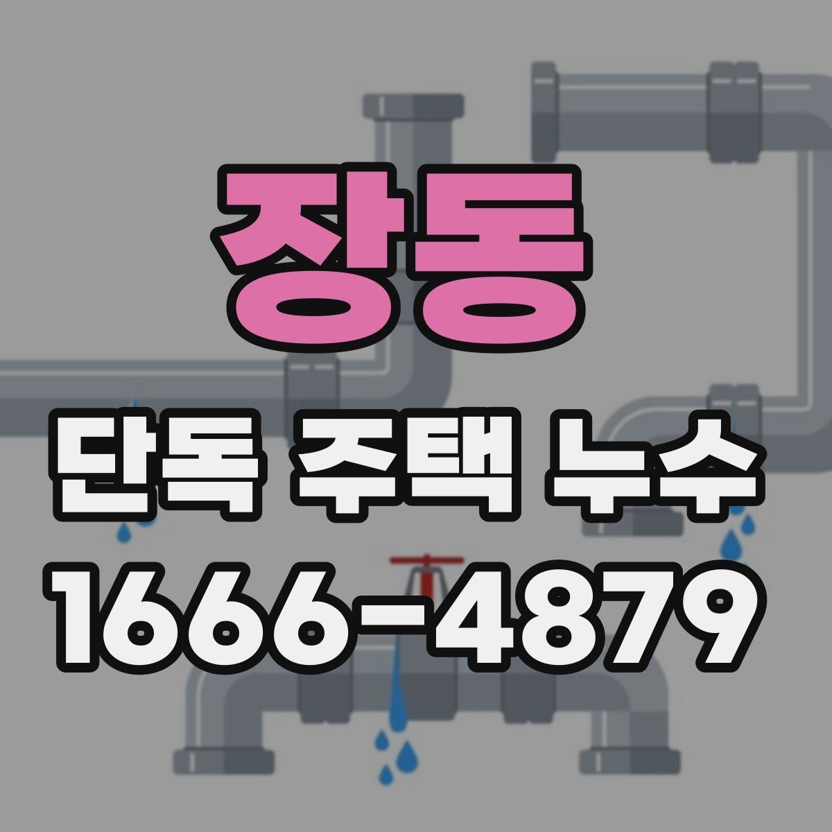 장동 단독 주택 누수 공사 전 견적 비교 기준