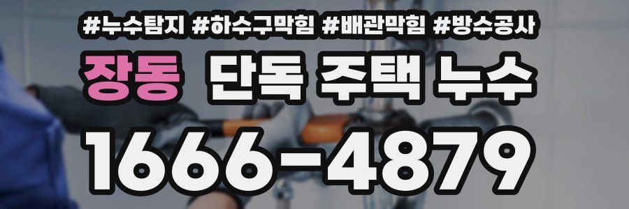 장동 단독 주택 누수