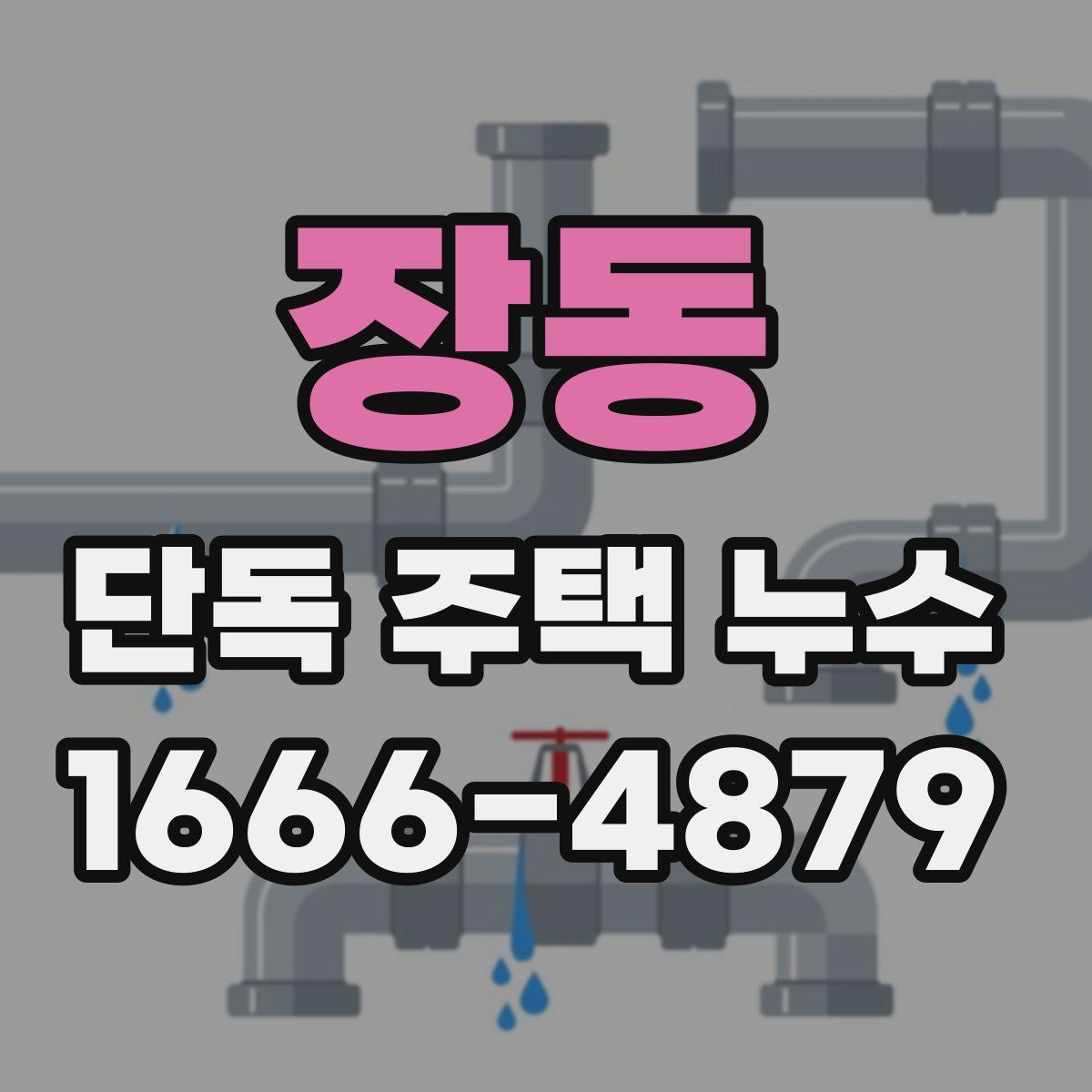 장동 단독 주택 누수