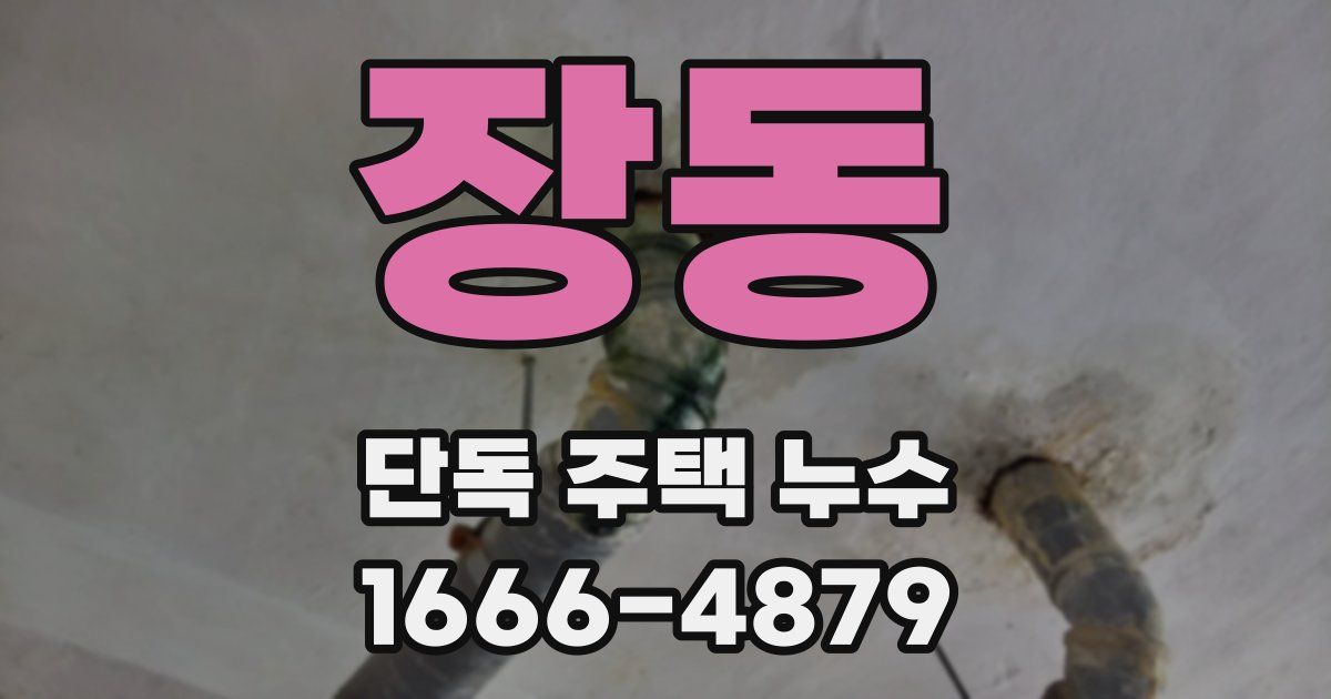 장동 단독 주택 누수