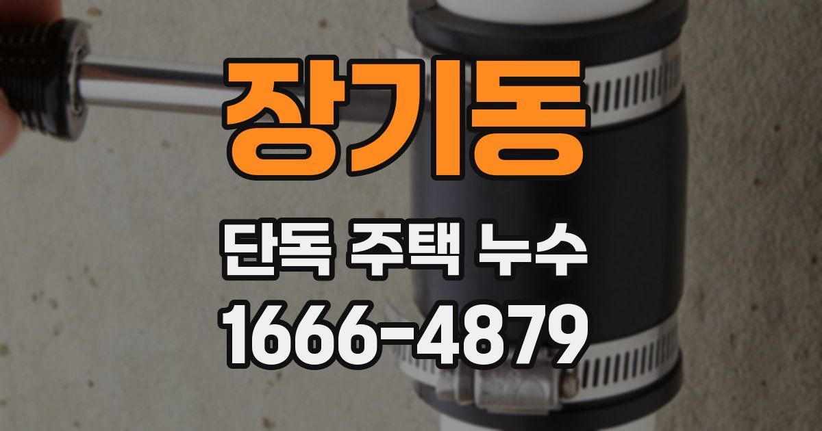 장기동 단독 주택 누수