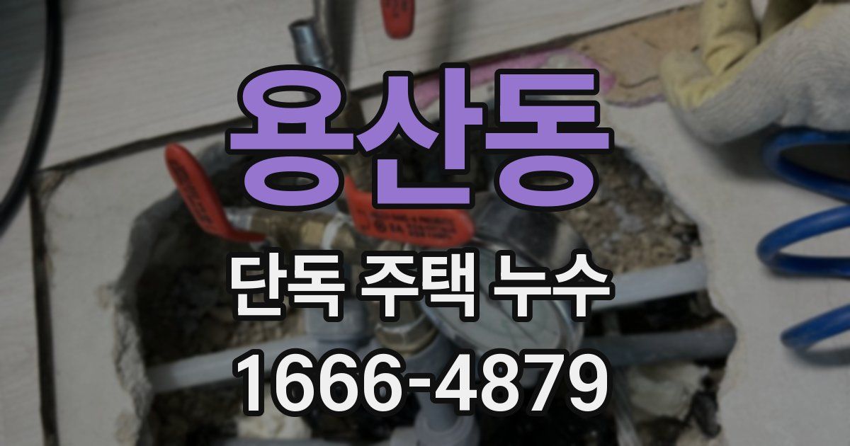 용산동 단독 주택 누수
