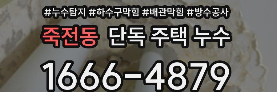 죽전동 단독 주택 누수