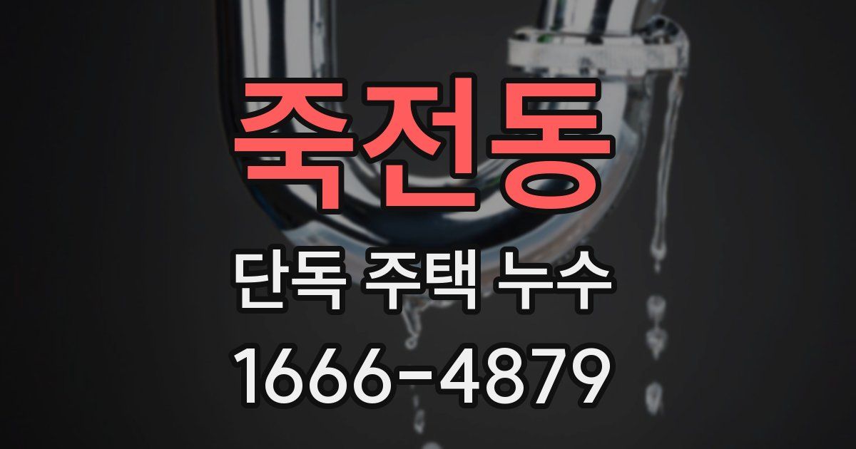 죽전동 단독 주택 누수