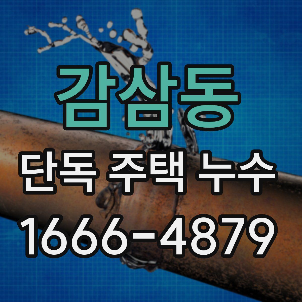 감삼동 단독 주택 누수