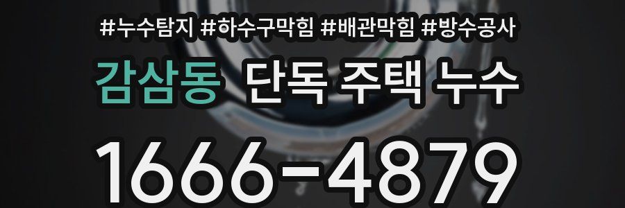 감삼동 단독 주택 누수