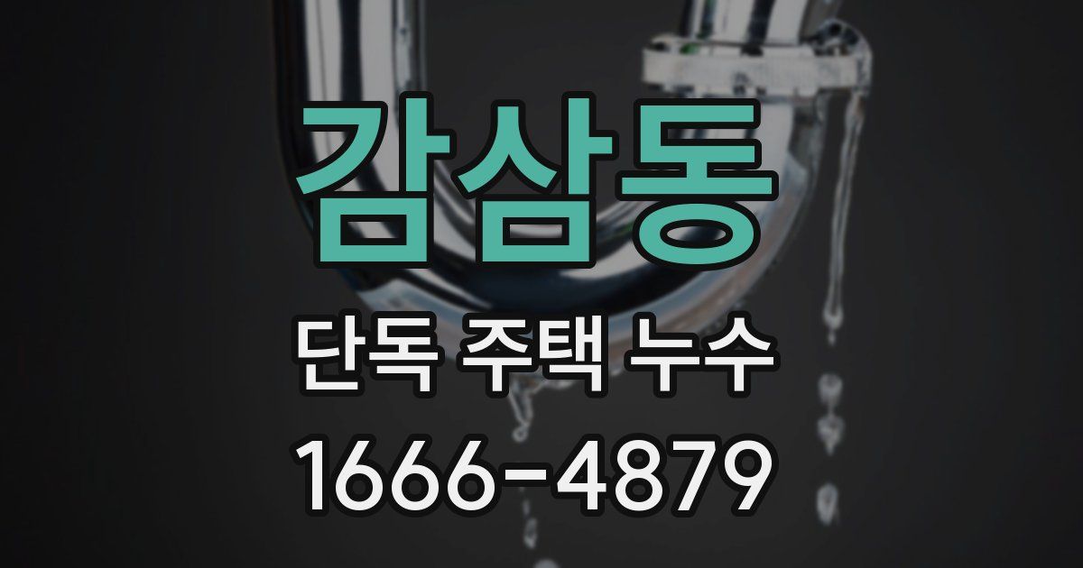 감삼동 단독 주택 누수