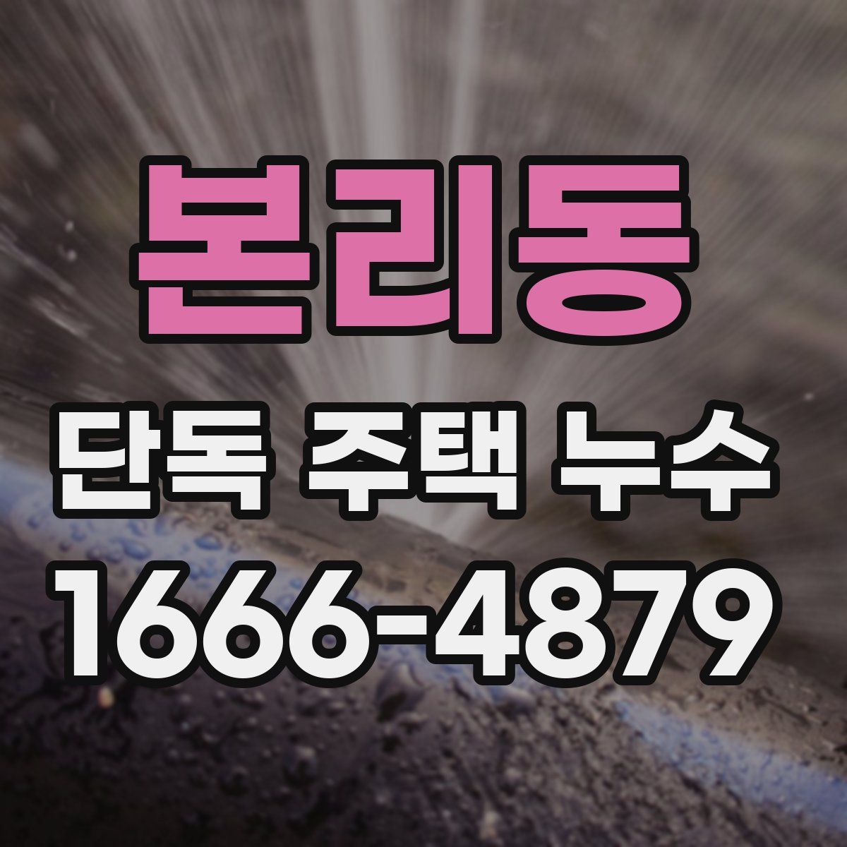 본리동 단독 주택 누수